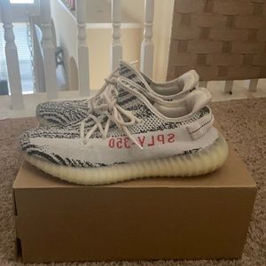 10.5 zebra 350